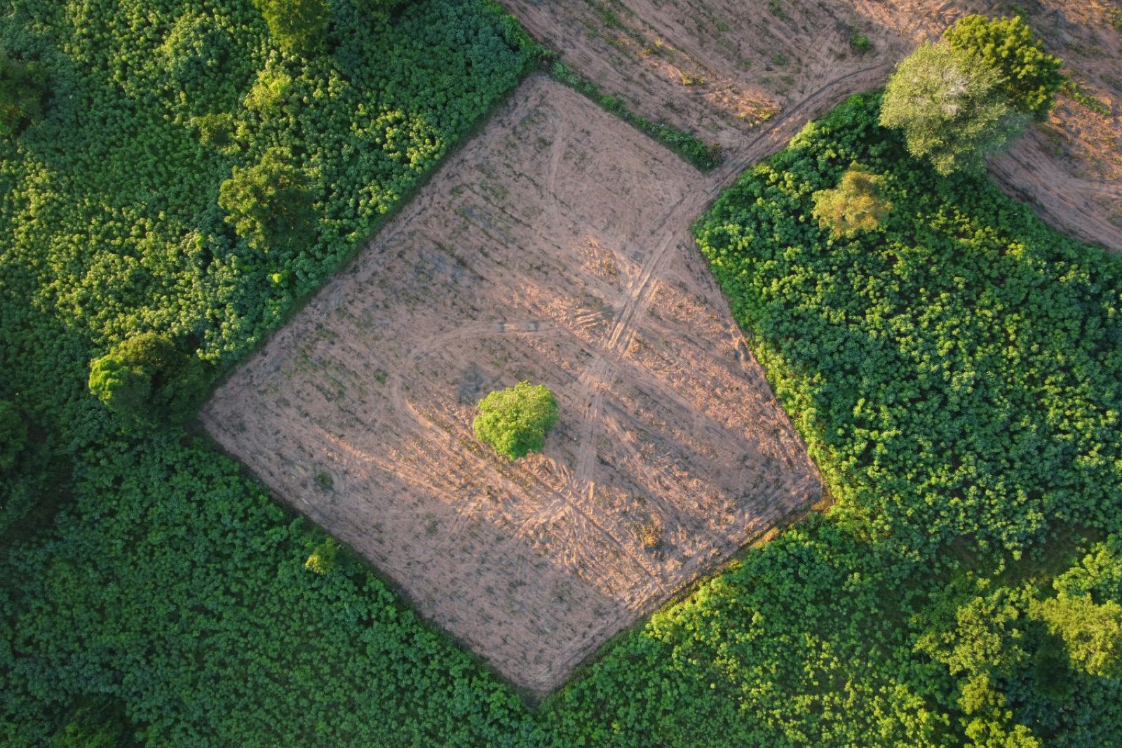 Grundstück aus der Luft – Grundstücksarten im Raum Augsburg
